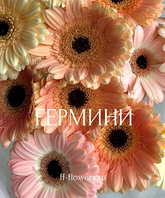 11 гермини микс в букете 