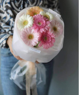 7 гермини пастель микс №4125