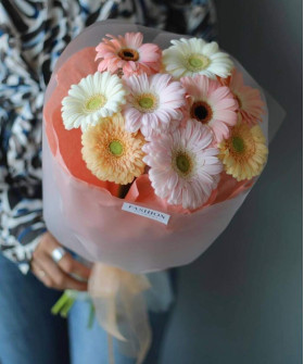 9 нежных гермини пастель микс №4456