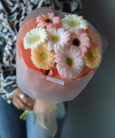 9 нежных гермини пастель микс №4456