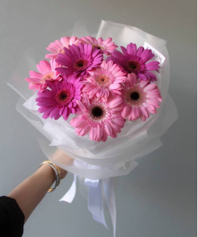 9 розовых гермини Свит №3987