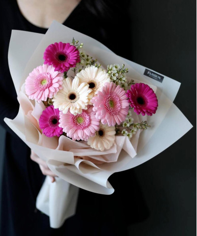 9 разноцветных гермини №3450