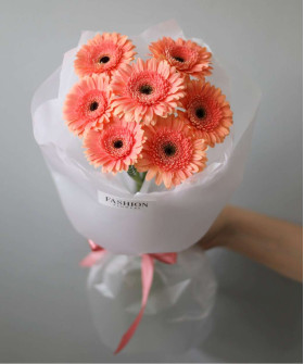 7 персиковых гермини №4578