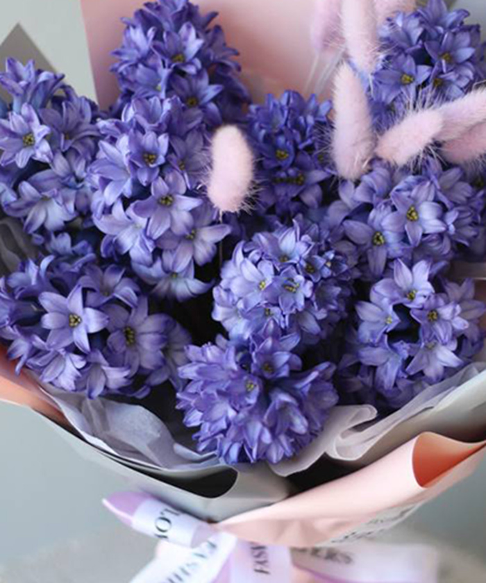 11 гиацинтов Дельф блю №3671