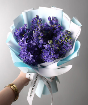 7 гиацинтов Дельф блю №5587