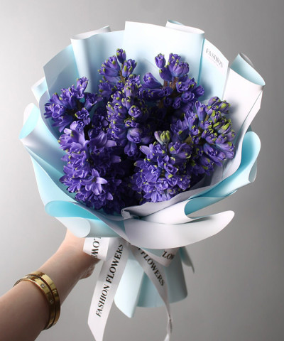 7 гиацинтов Дельф блю №5587