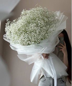 23 ветки белой гипсофилы Экселенс в большом букете №3563