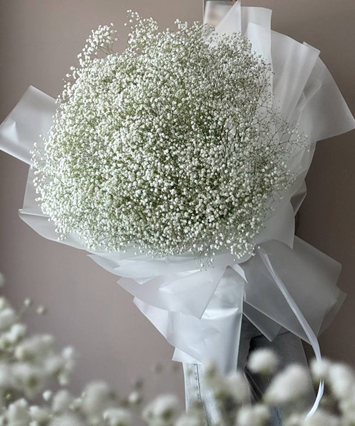 23 ветки белой гипсофилы Экселенс в большом букете №3563
