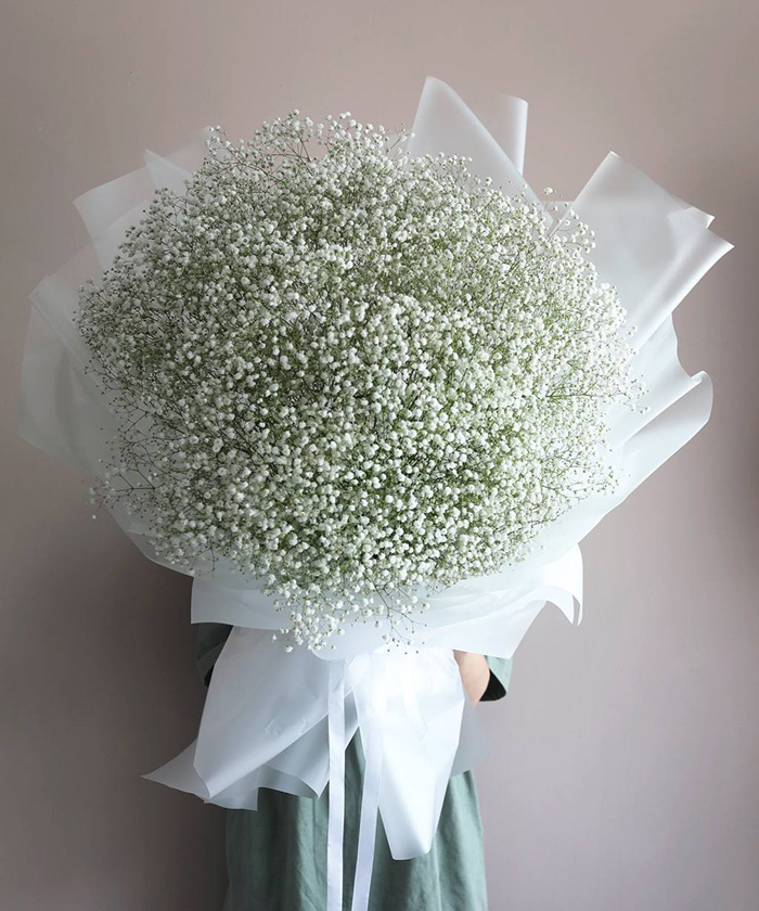 23 ветки белой гипсофилы Экселенс в большом букете №3563