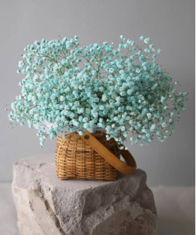 Воздушная голубая гипсофила в корзине №6599