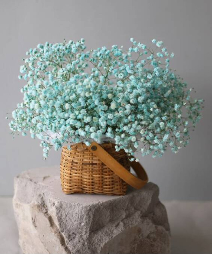 Воздушная голубая гипсофила в корзине №6599