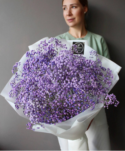 21 фиолетовая гипсофила в большом букете №3355