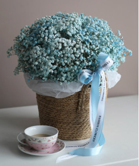 Голубая гипсофила в корзине "Голубые волны" №7646