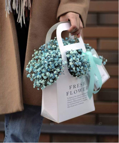 Голубая гипсофила в сумочке №6970