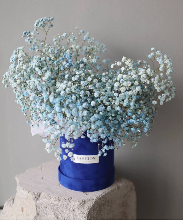 Воздушная голубая гипсофила в бархатном боксе 