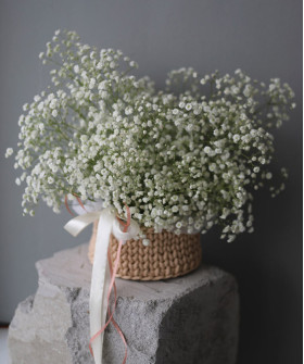 Воздушная белая гипсофила Аврора №3670