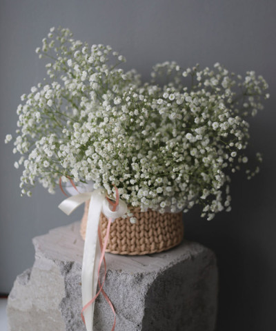 Воздушная белая гипсофила Аврора №3670