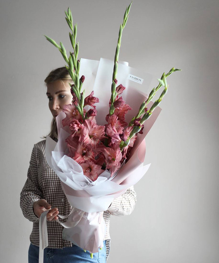 5 гладиолусов Шарм №4647