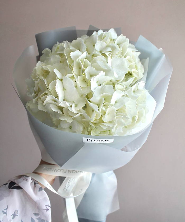 1 белая гортензия Колумбия №4358