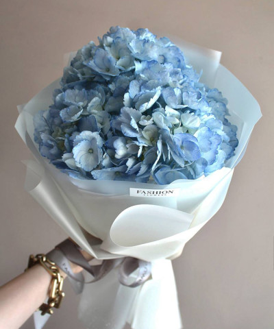 1 голубая гортензия Колумбия в фирменной упаковке №3389