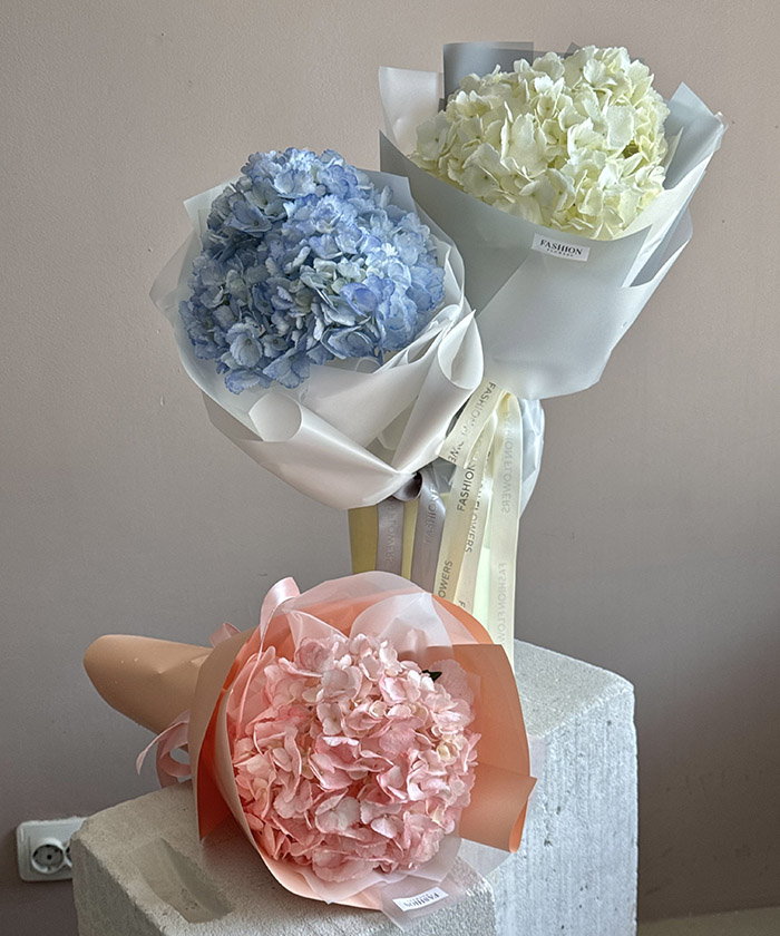 1 розовая гортензия Брайдал Колумбия №9834