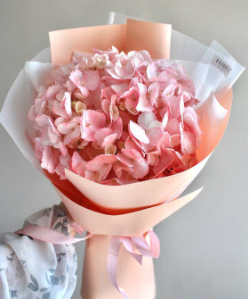 1 розовая гортензия Брайдал Колумбия №9834