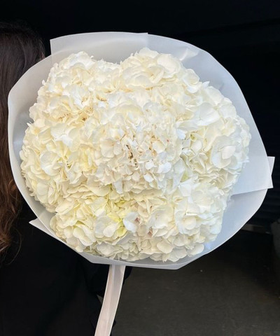 11 белых Колумбийских гортензий в белом оформлении №2678