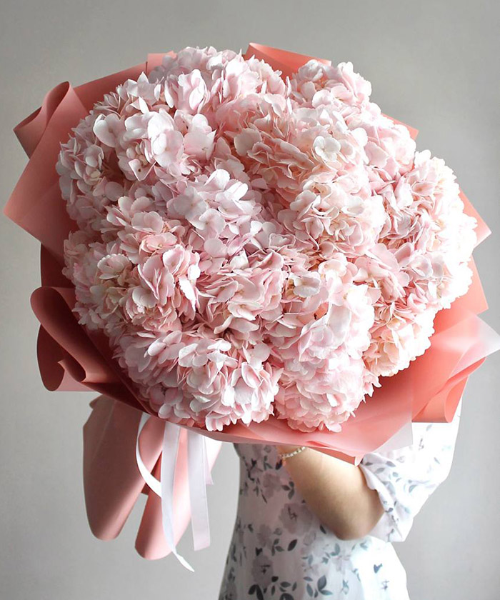 11 пудровых колумбийских гортензий 