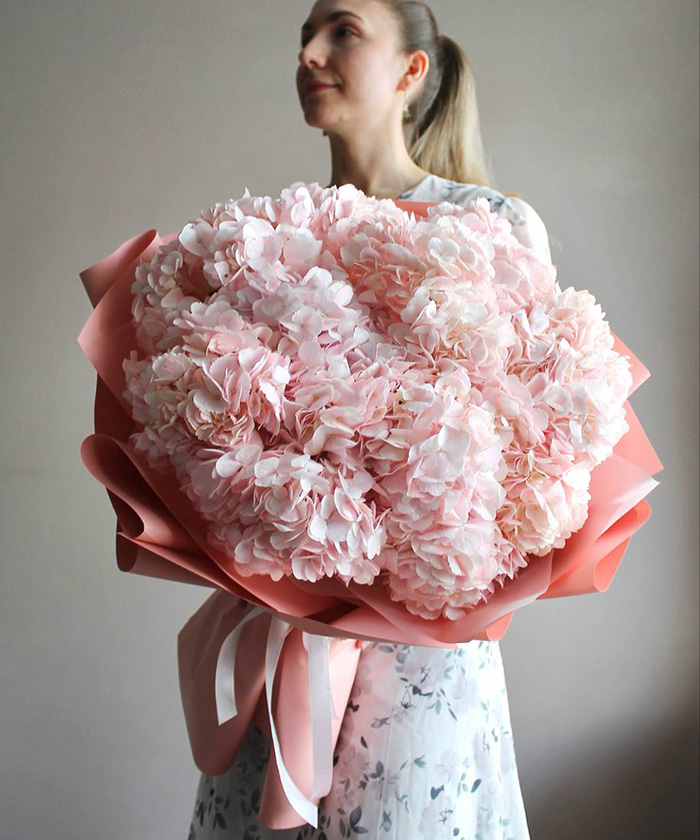 11 пудровых колумбийских гортензий 