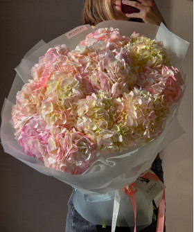 13 розовых колумбийских гортензий "Вечерний закат" №9567