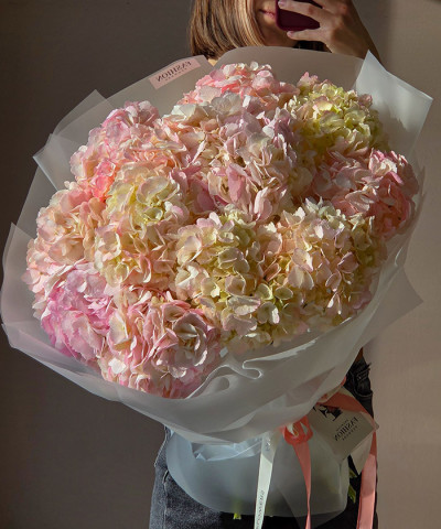 13 розовых колумбийских гортензий "Вечерний закат" №9567