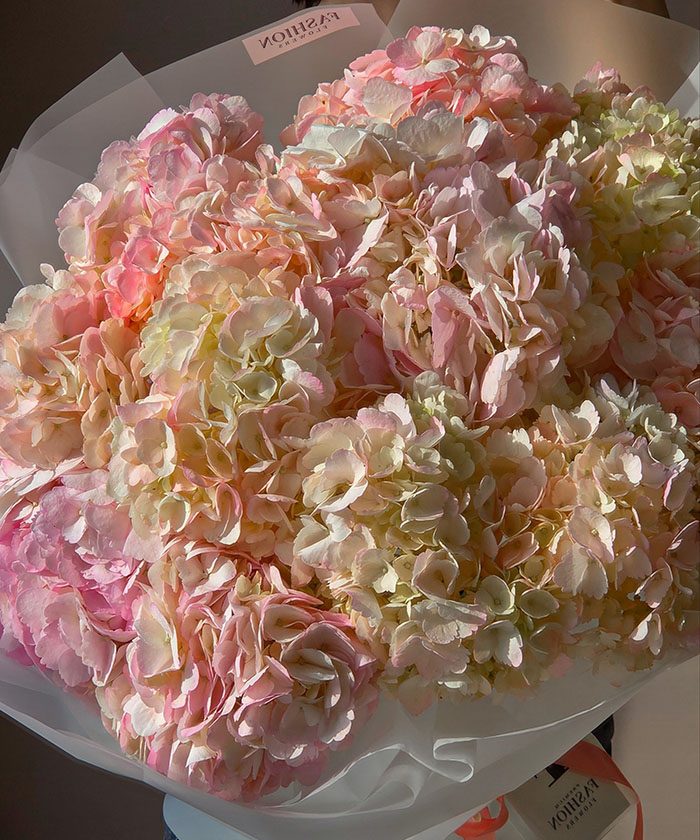 13 розовых колумбийских гортензий 