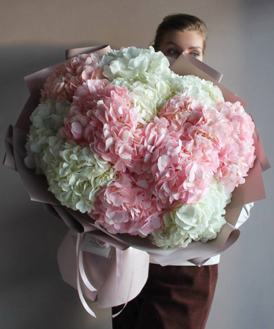 15 белых и розовых колумбийских гортензий в букете "Максимум чувств" №6772
