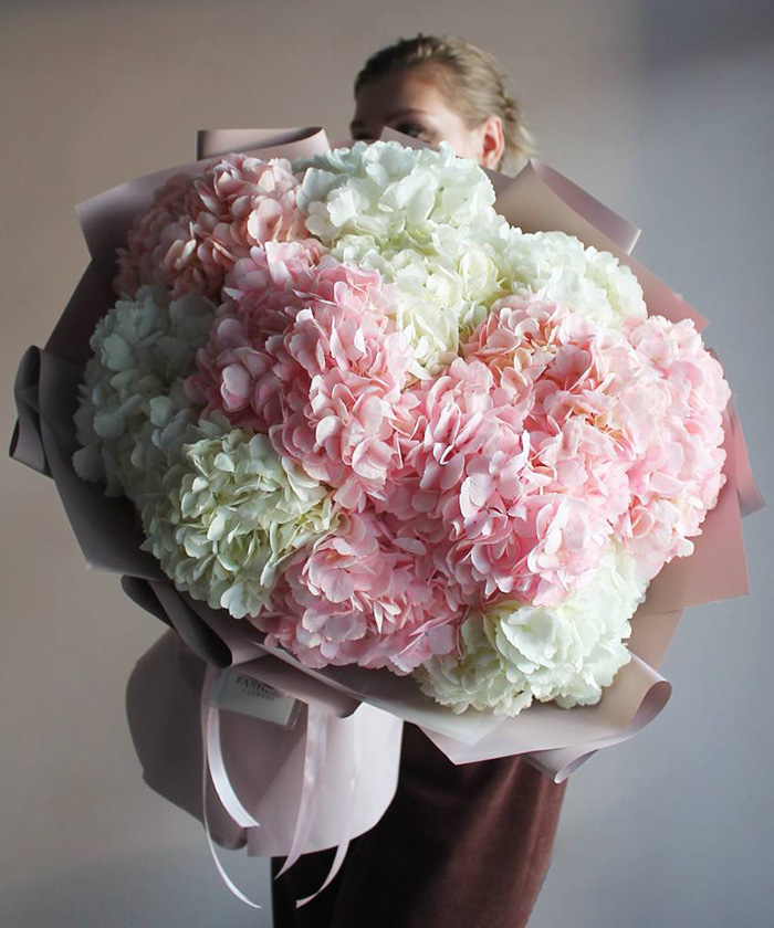 15 белых и розовых колумбийских гортензий в букете 