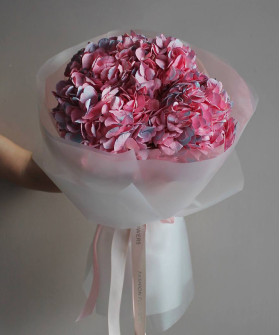 5 розовых гортензий Колумбия в фирменной упаковке №4550