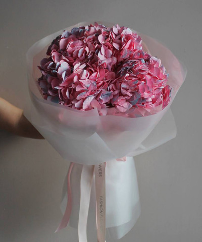 5 розовых гортензий Колумбия в фирменной упаковке №4550