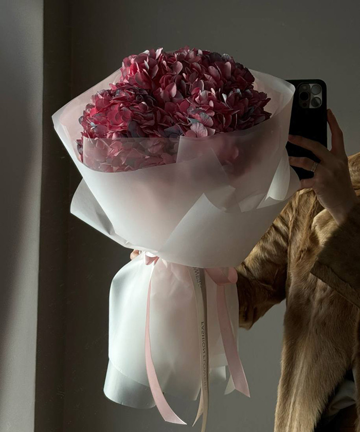 5 розовых гортензий Колумбия в фирменной упаковке №4550