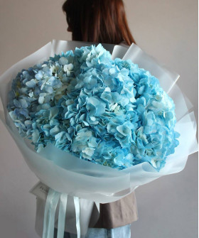 7 голубых гортензий в букете "Морские волны" №7568