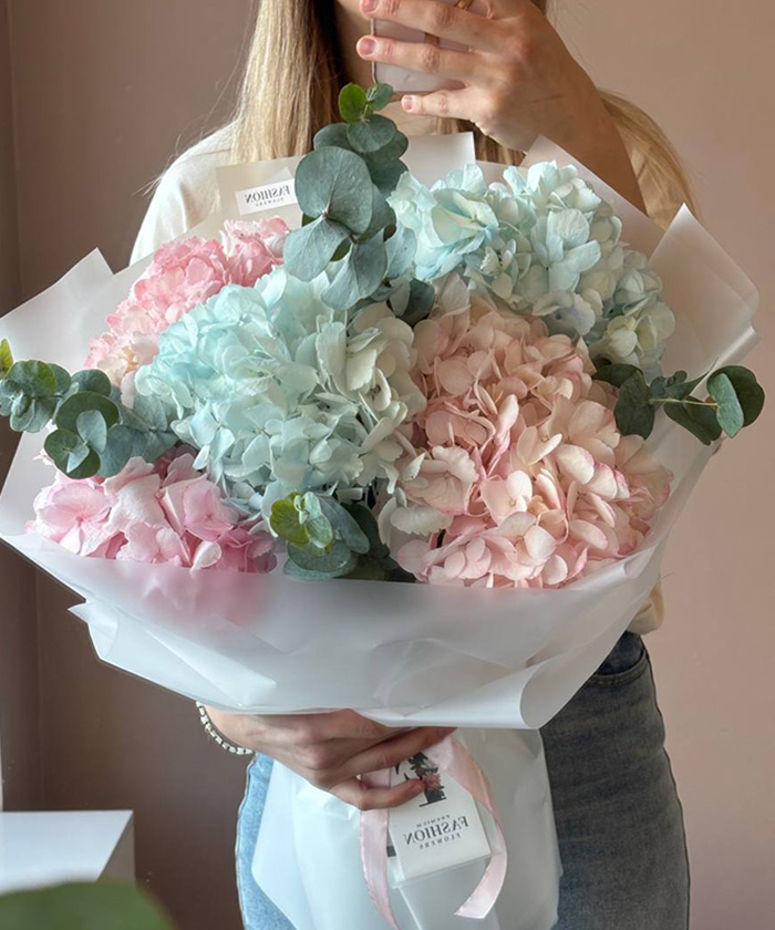 7 розовых и голубых гортензий Колумбия №9879