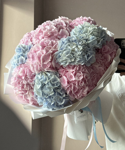 13 розовых и голубых гортензий Верена экстра №3576