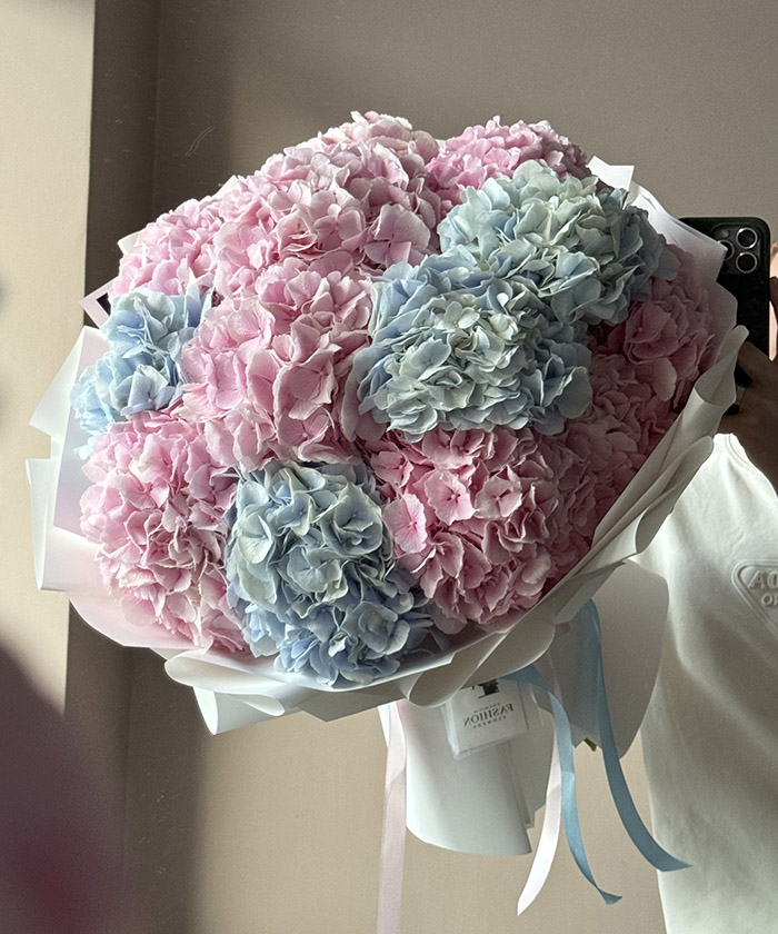 13 розовых и голубых гортензий Верена экстра №3576