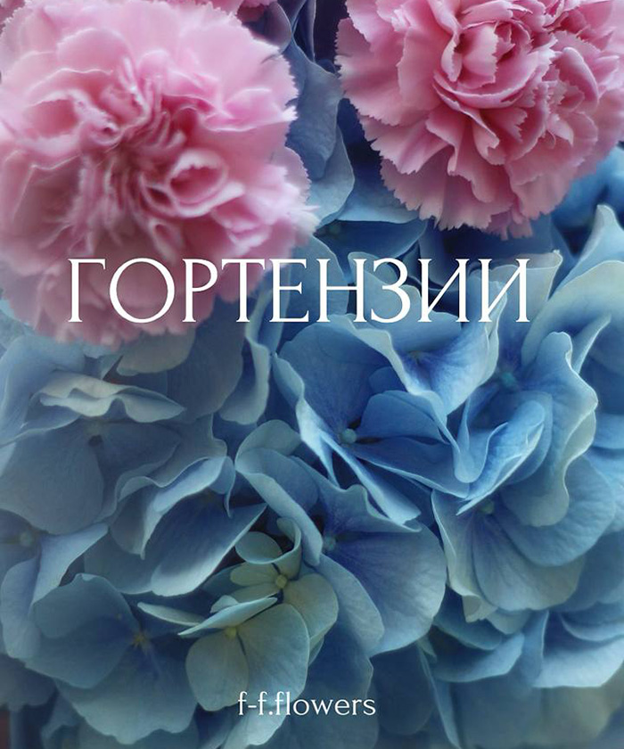 Голубая гортензия и розовые диантусы в букете 