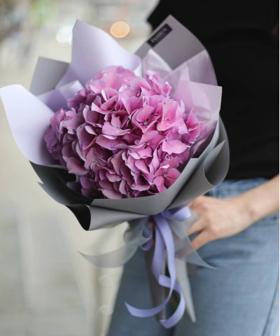 Фиолетовая гортензия Милка №2997
