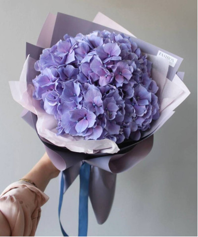 Сиреневая гортензия Кассанова Милка №6788
