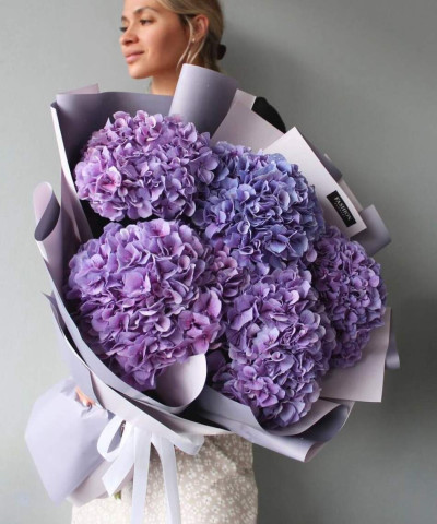 9 фиолетовых премиум гортензий Милка №7424