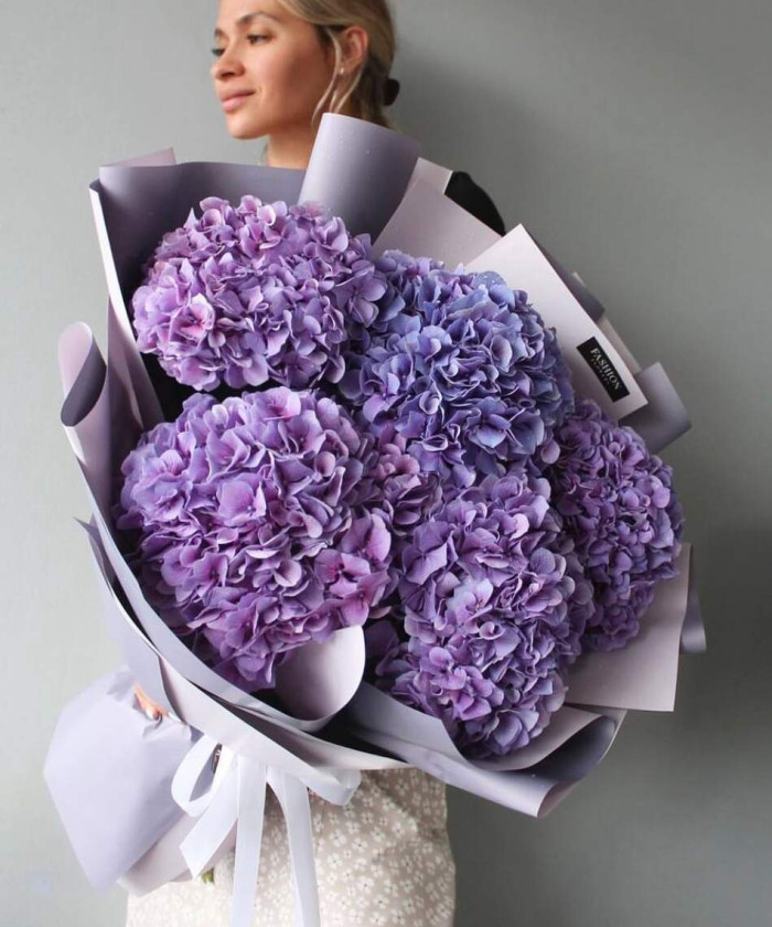 9 фиолетовых премиум гортензий Милка №7424