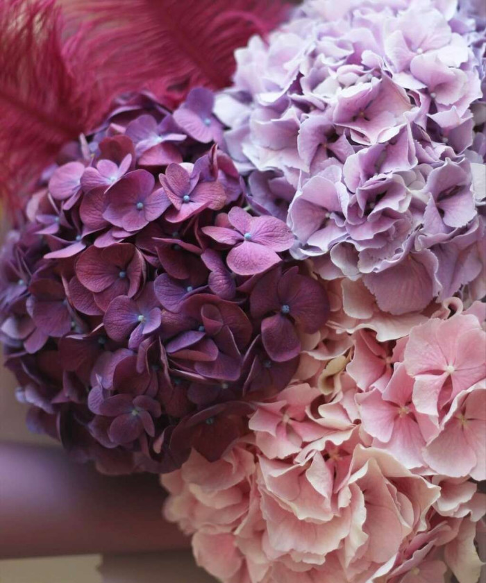 3 розово-фиолетовых гортензии в букете 