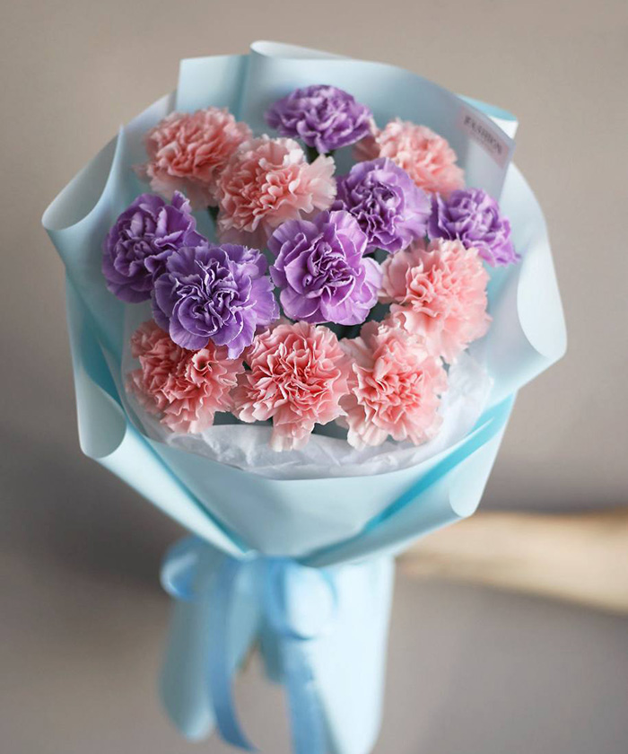 13 лавандово-розовых диантусов №4527