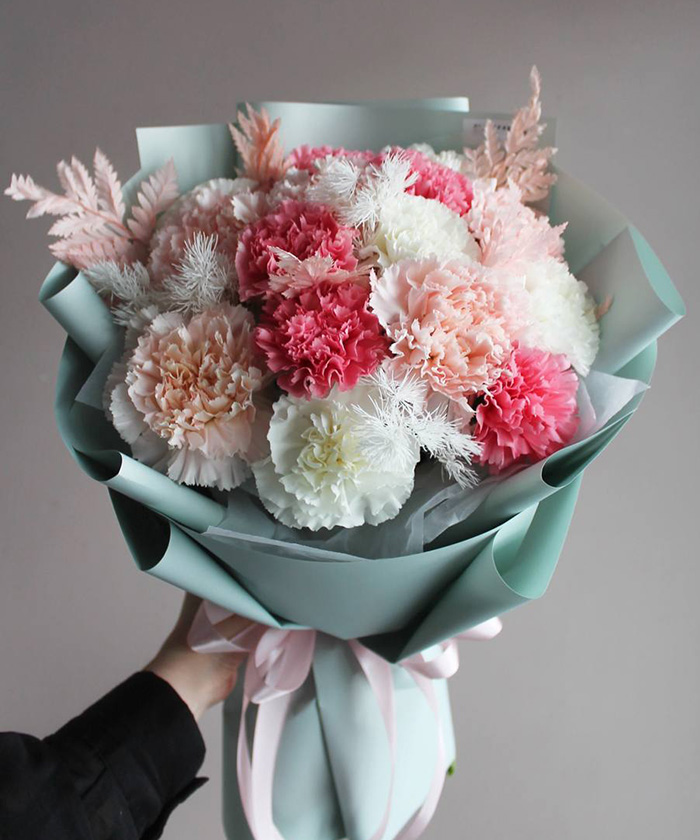 15 диантусов 