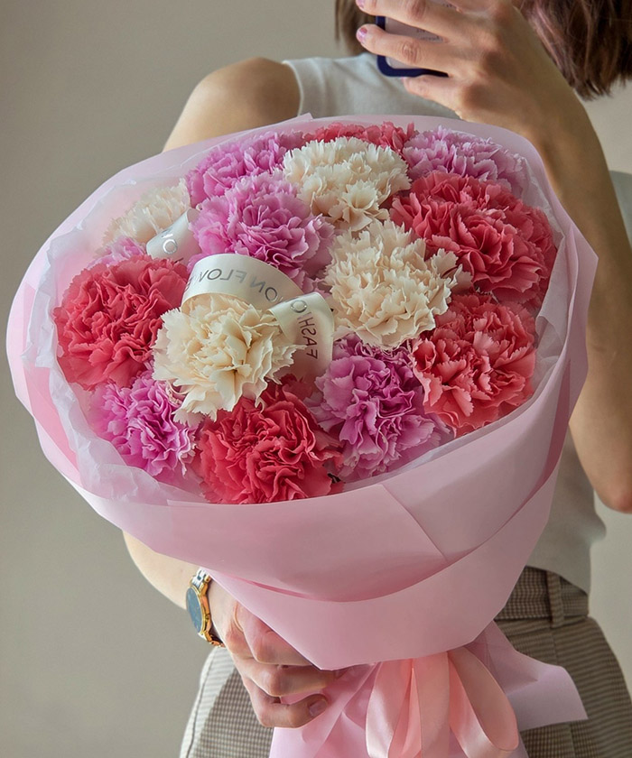 15 диантусов Молли №3066